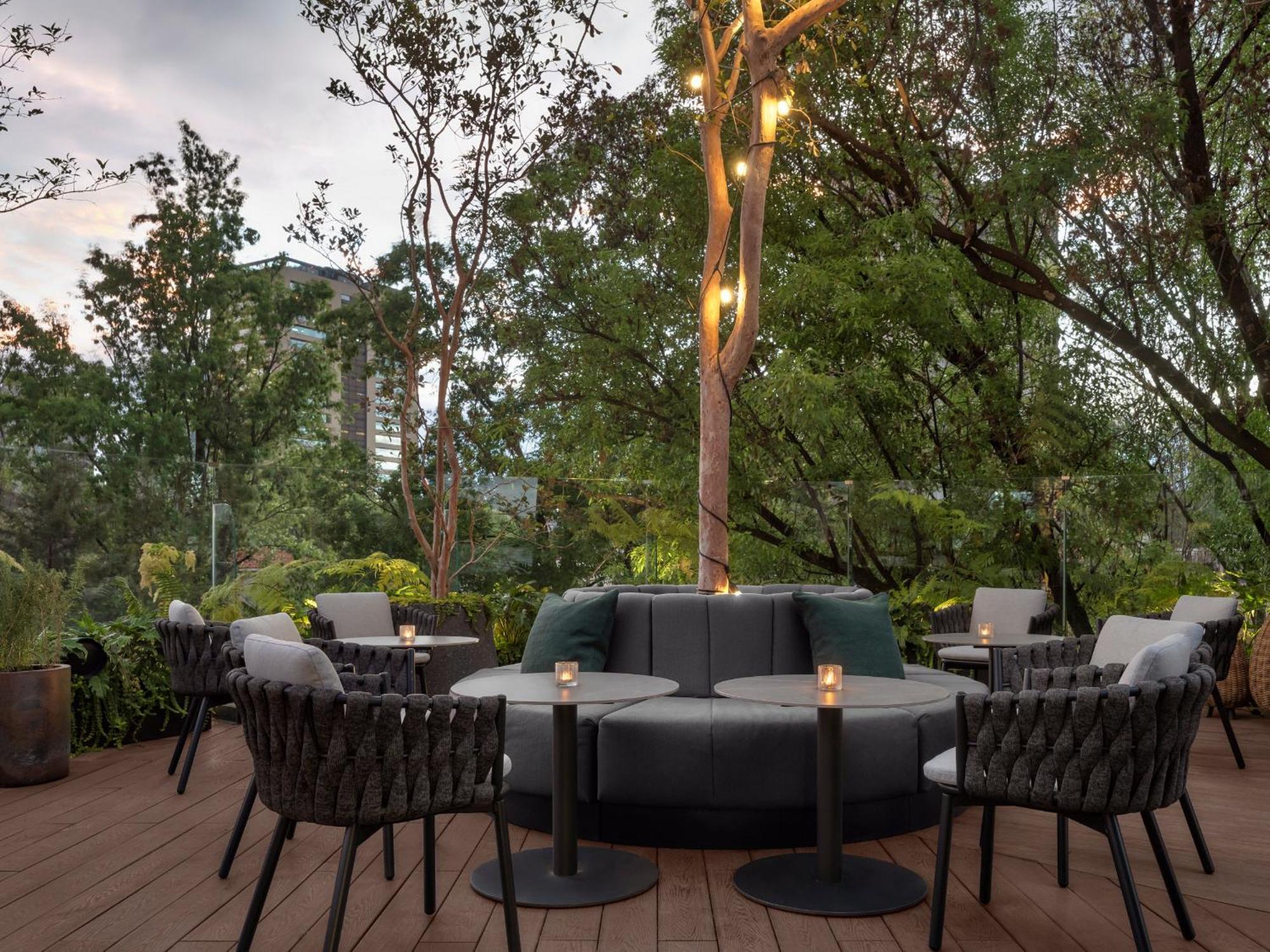 Kimpton Virgilio By Ihg Otel Meksika Dış mekan fotoğraf